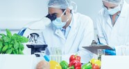 How To Become A Food Scientist Salary Qualification Skills Role 